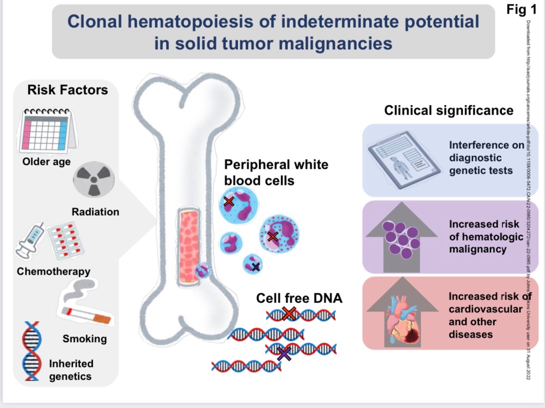 Emmanuel Antonarakis (@eantonarakis) on Twitter photo Delighted to share our review article on CHIP in solid tumors. Congrats to <a href="/CathyHandy/">Cathy Handy Marshall, MD MPH</a> <a href="/LukaszPGondek/">Lukasz Gondek</a> aacrjournals.org/cancerres/arti… Delighted to share our review article on CHIP in solid tumors. Congrats to <a href="/CathyHandy/">Cathy Handy Marshall, MD MPH</a> <a href="/LukaszPGondek/">Lukasz Gondek</a> aacrjournals.org/cancerres/arti…