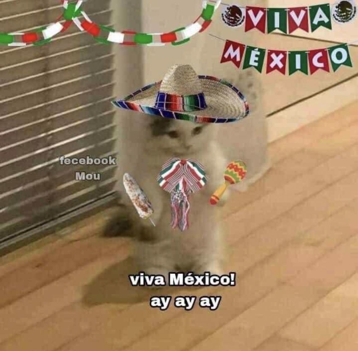 MexicoMagico's tweet photo. Modo México: ACTIVADO 🟢🇲🇽 https://t.co/yIoFWza5Ji