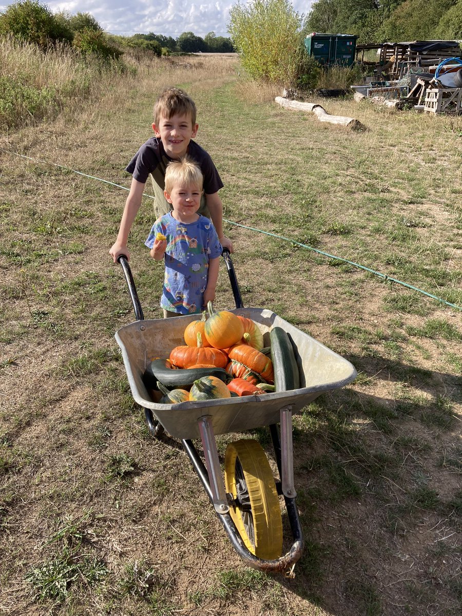 Lovely September harvest 🌞🌈🌱🍏 <a href="/RHS_Allotment/">The Allotment Project🌿</a> @ThePapillonPro <a href="/ReephamHigh/">Reepham High</a> <a href="/thedialhouse/">THE DIAL HOUSE</a>
