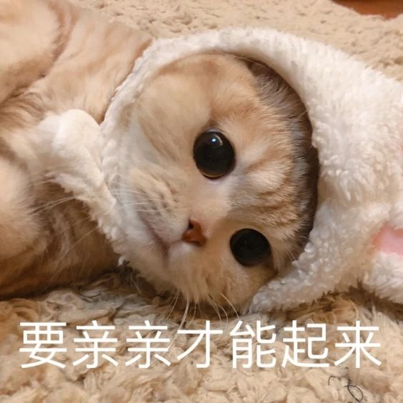 tinycircle_chi's tweet photo. 第 18 天 #มีมจีน

要亲亲才能起来。
yào qīn qīn cáinéng qǐlái
ต้องจุ๊บก่อนถึงจะตื่น😘 https://t.co/defSvtEtNO
