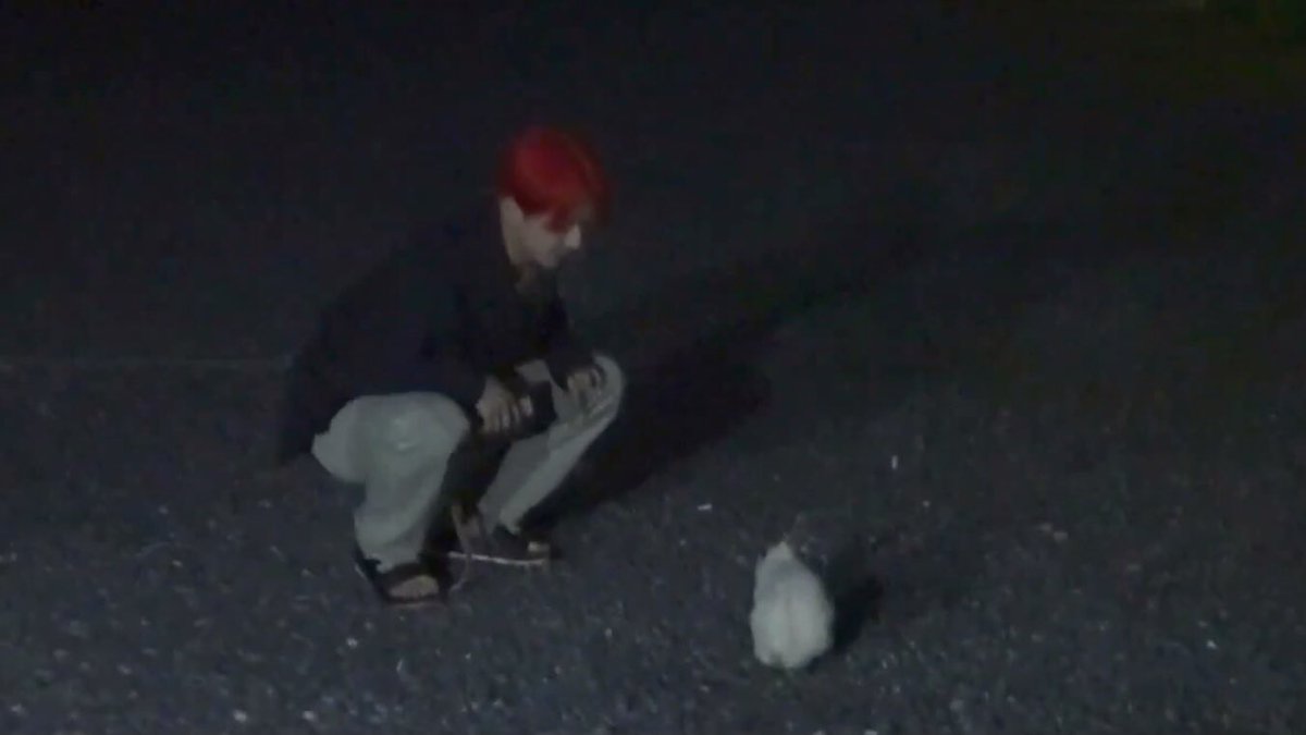 jwnfeed's tweet photo. #jungwon playing with a bunny. https://t.co/y2fuZ30iJb