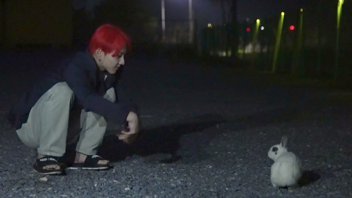 jwnfeed's tweet photo. #jungwon playing with a bunny. https://t.co/y2fuZ30iJb