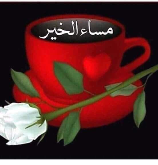 ابوذياد احمد (@ahmdabwdhyad) on Twitter photo 