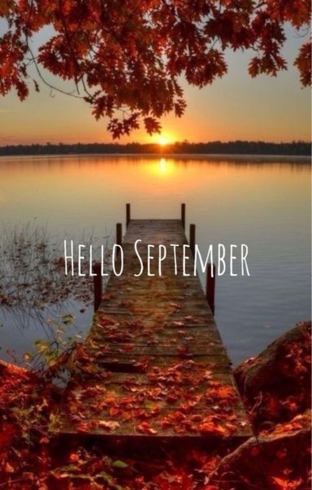 DanjaRaven73's tweet photo. Ja ja, kom maarrrrrr!!

#vallendeblaadjes #herfst #loveit #kannietwachten #seizoen #cozy #warmechoco #dekentje #thee #film #boek #kaarsjesaan #romantisch #wind #vroegdonker https://t.co/KCw4NNvIHt
