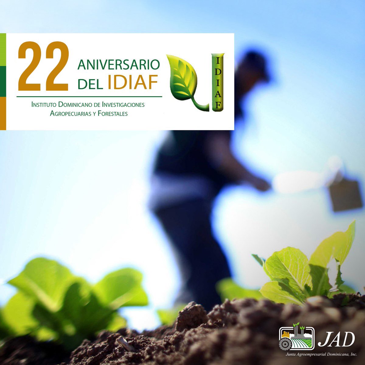 jad_agroempresa's tweet photo. #JADFelicita al Instituto Dominicano de Investigaciones Agropecuarias y Forestales @IDIAF_RD por sus 22 años aportando a la seguridad alimentaria y a la competitividad de los agronegocios dominicanos. https://t.co/koQ6fiwUDA