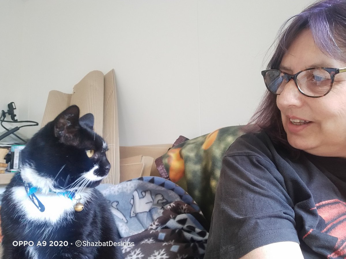 ShazbatDesigns's tweet photo. Today's #MHHSBD challenge is to share our work companions so here is my boss. It was his 15th birthday at the beginning of August so he sleeps more than anything now but he doesn't let me slack 😍 #htmlp #craftybizparty #MHHSBD #CatsOnTwitter #workcompanion #furryfriend https://t.co/xkEINEfnpZ