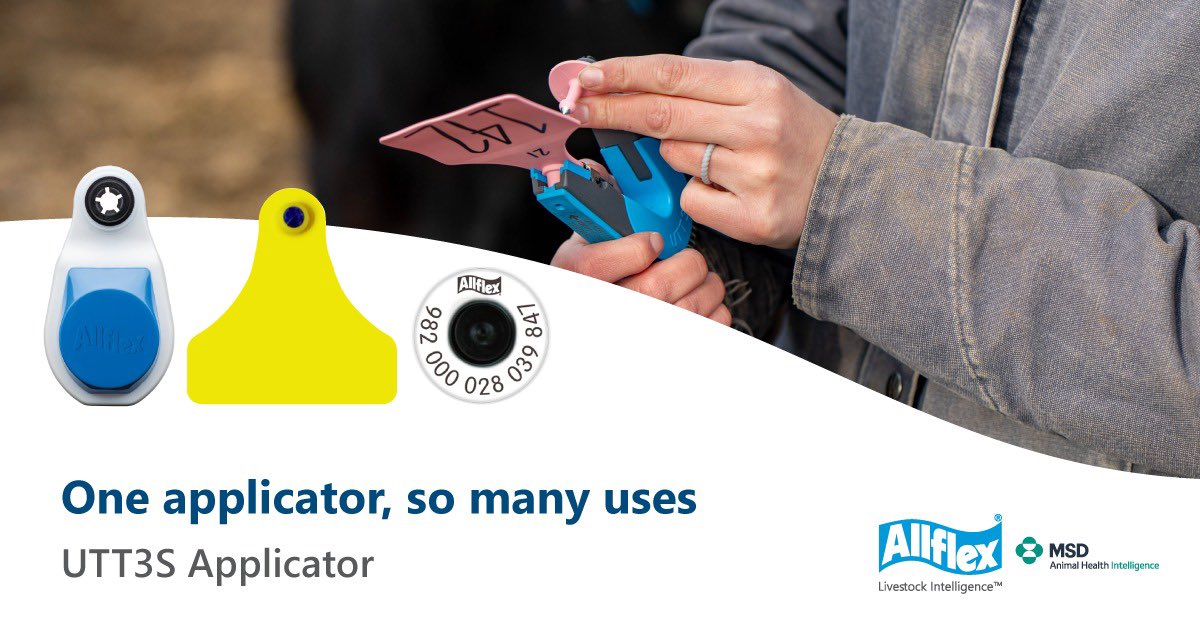 Allflex Livestock Intelligence Sub-Saharan Africa tweet media