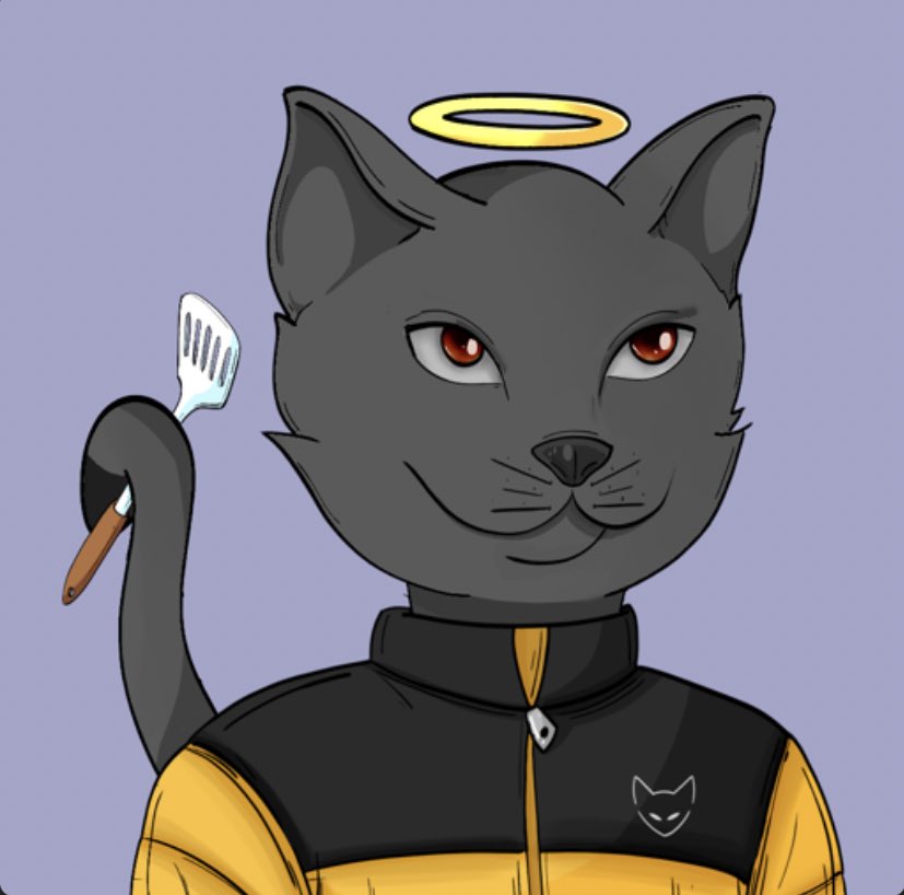 CATS FAMILY tweet media