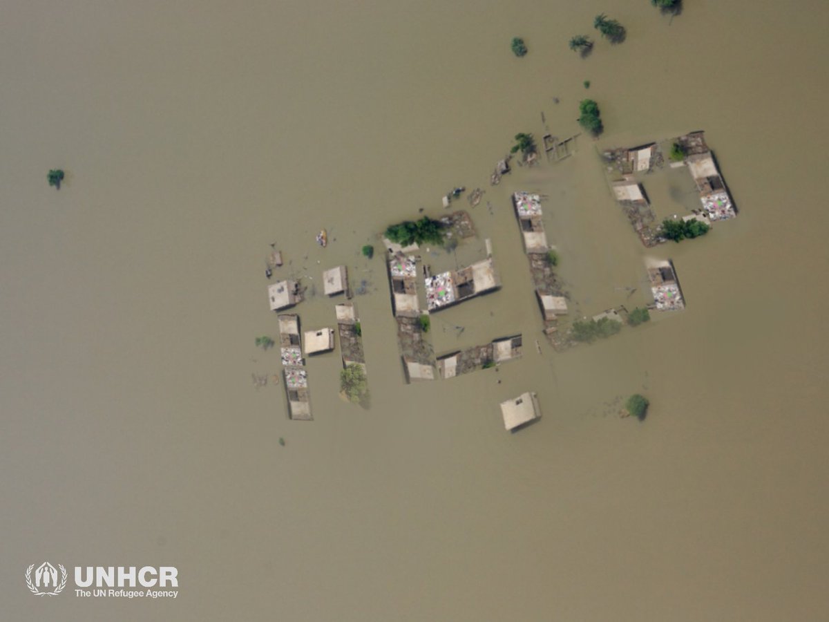 Help is needed in #Pakistan #FloodsInPakistan2022 #donate