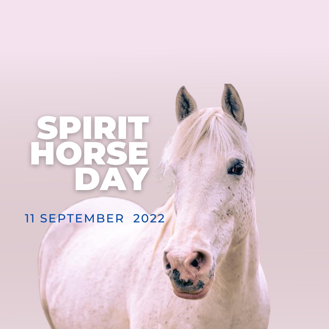 SpiritHorseNL's tweet photo. This event was cancelled on August 27 due to the loss of our horse Andy we now have it rescheduled for Sunday September 11. 

11am -Spirit Horse Ceremony
12pm BBQ
12-3 Pony Rides

Hope you can join us. https://t.co/ylOtJ9oRqp