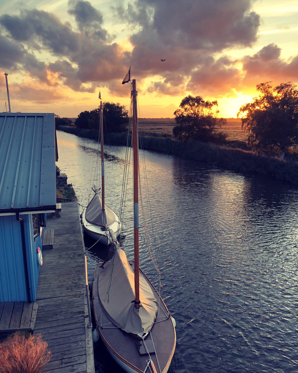 Joanna King tweet media