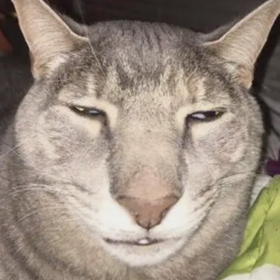 9thresh's tweet image. #NewProfilePic