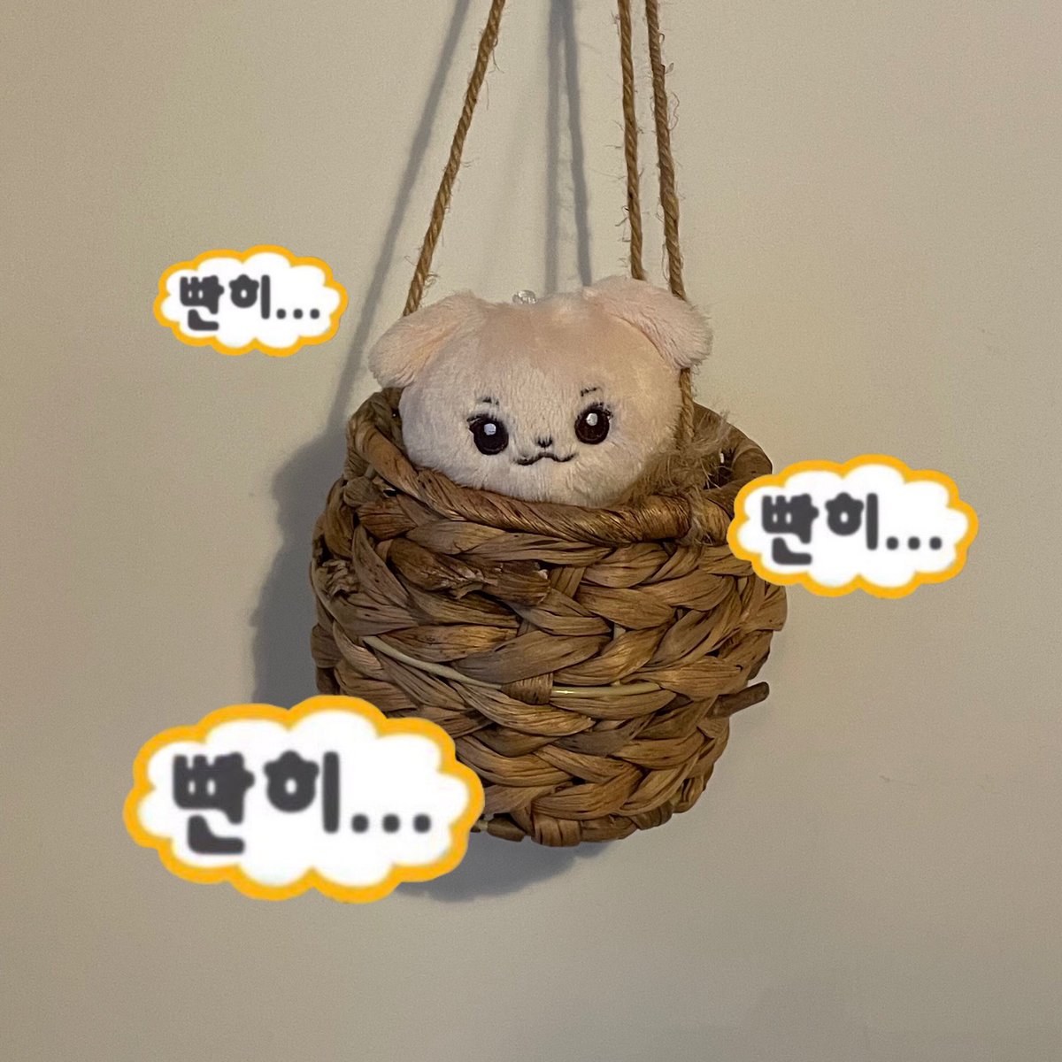 동팔이 tweet media