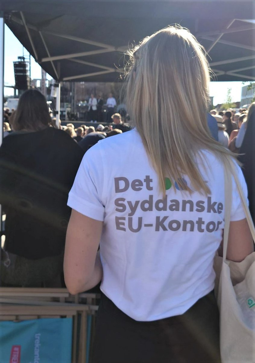 South Denmark European Office tweet media