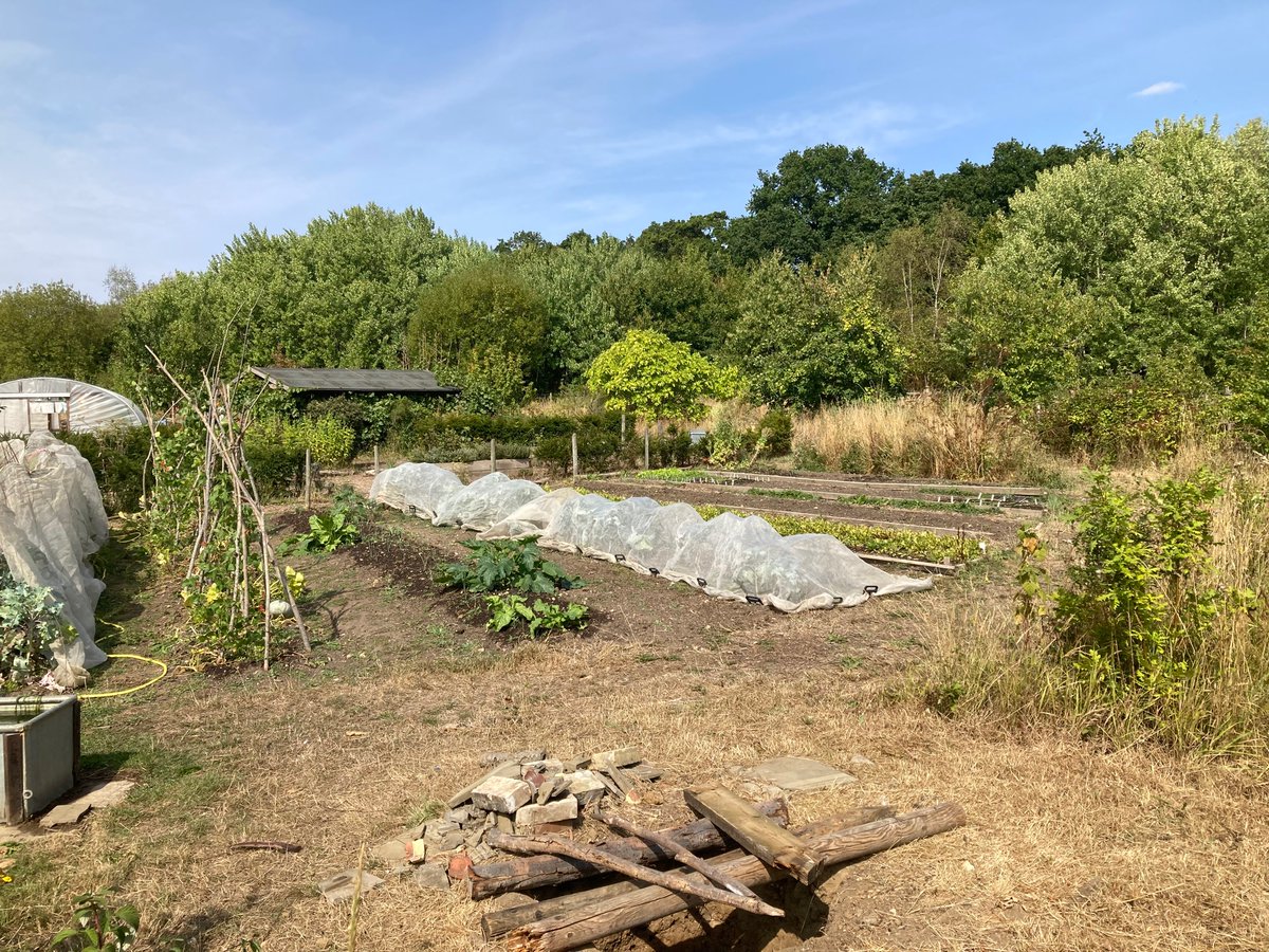 SteveOLast's tweet photo. It was great to meet up today with Wayne and his volunteers from“Together We Grow” to talk through the fantastic work that they undertake at the BIG garden at High Woods Country Park. Many thanks for the home grown lunch 🥗 it was delicious 😋 https://t.co/b30pBRa3YT