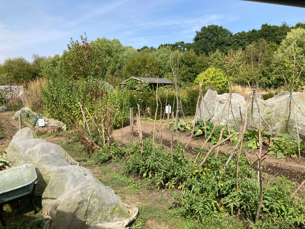 SteveOLast's tweet photo. It was great to meet up today with Wayne and his volunteers from“Together We Grow” to talk through the fantastic work that they undertake at the BIG garden at High Woods Country Park. Many thanks for the home grown lunch 🥗 it was delicious 😋 https://t.co/b30pBRa3YT