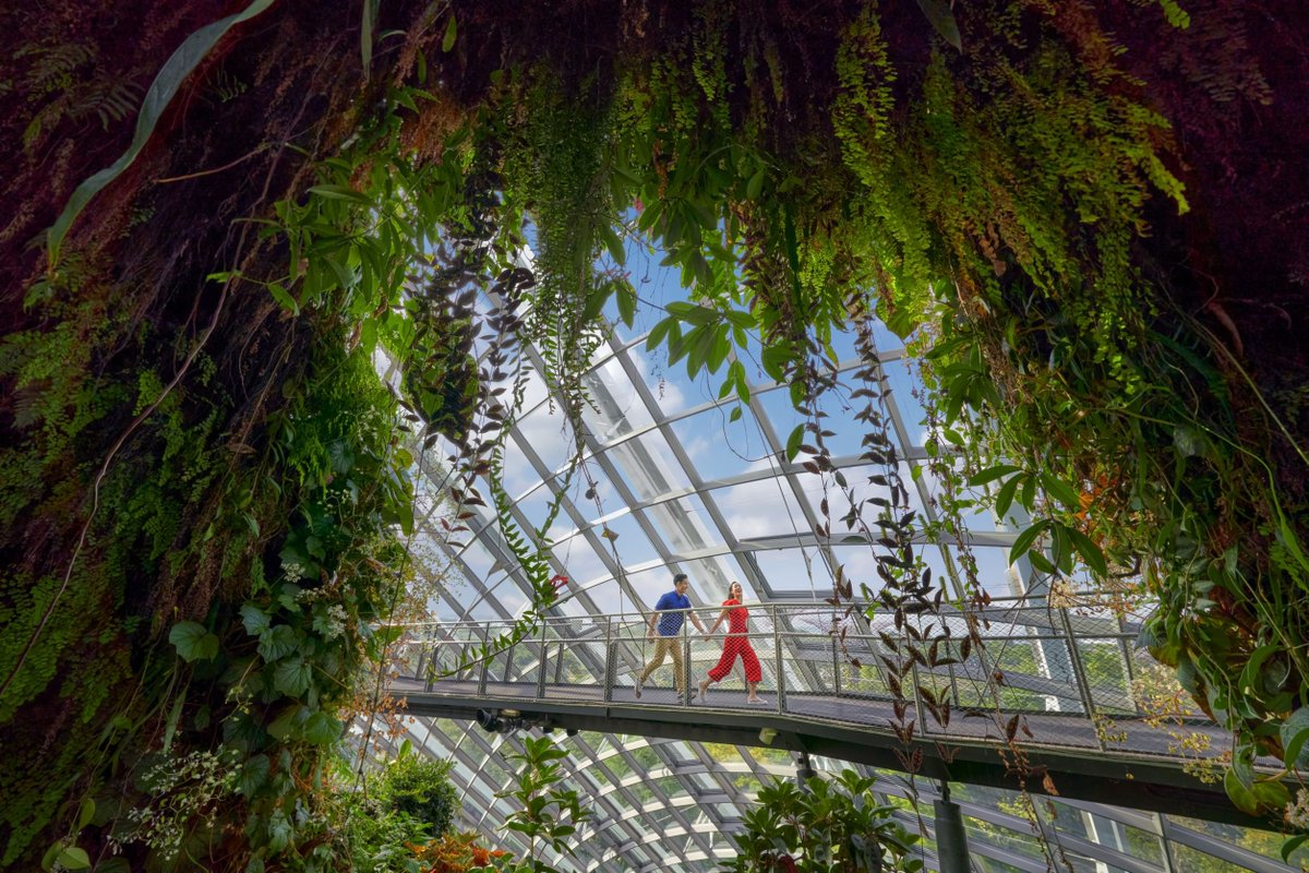 Singapore is taking significant steps to ensure a better, more climate friendly future as outlined in the Singapore Green Plan 🌏  

Have you visited our City in Nature? #VisitSingapore #WorldTourismDay #CityInNature