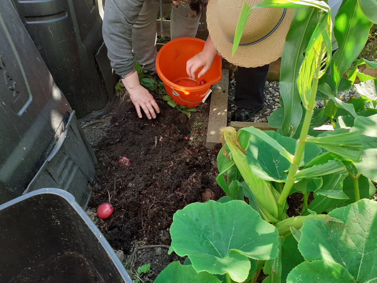 Sacro Garden Project tweet media