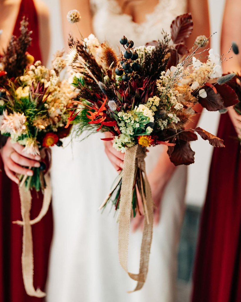 louise ✿ 🏴󠁧󠁢󠁳󠁣󠁴󠁿 tweet media