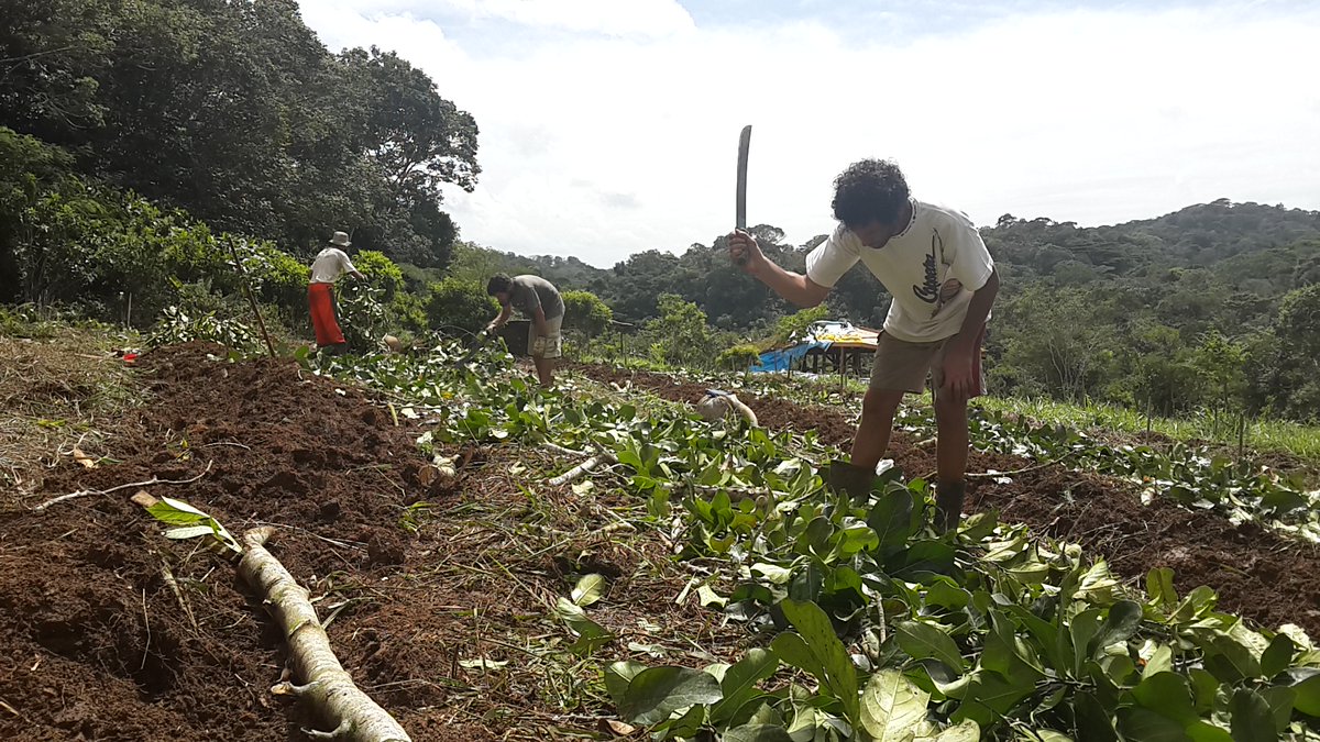 gabrieldread's tweet photo. Qual a diferença entre ecovila e um condomínio rural? Existem falsas ecovilas? 

Segue o fio 🧶

Existem vários tipos de comunidades intencionais e empreendimentos rurais no Brasil + https://t.co/BStBP5gCtT