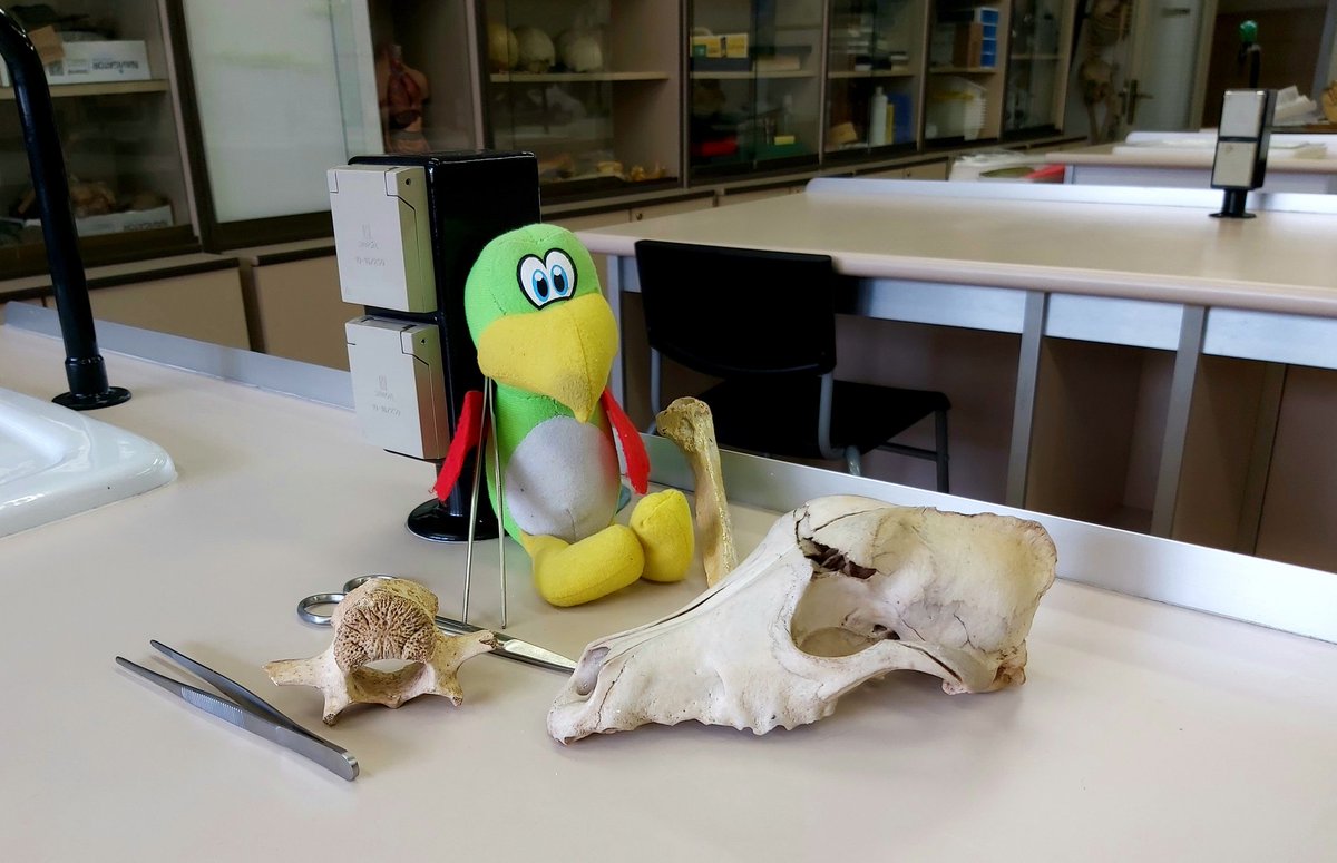 Nuria Fernández tweet media