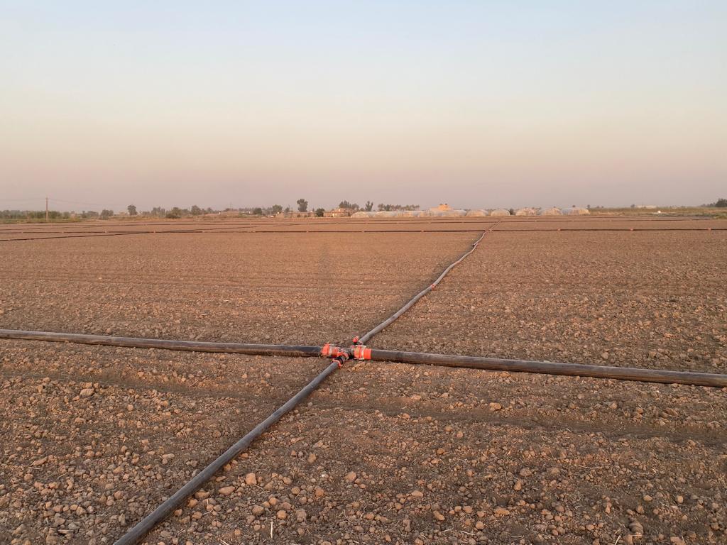 Ecoconsultjo's tweet photo. Our fourth irrigation project in Baghdad / Iraq under the Iraq Horticulture Development Program 

لقطات من رابع مشروع ري في بغداد / العراق ضمن برنامج تطوير البستنة في العراق 

#irrigation #agriculture #horticulture #greenhouse #Ecoconsult #baghdad https://t.co/qKgGgP57u2