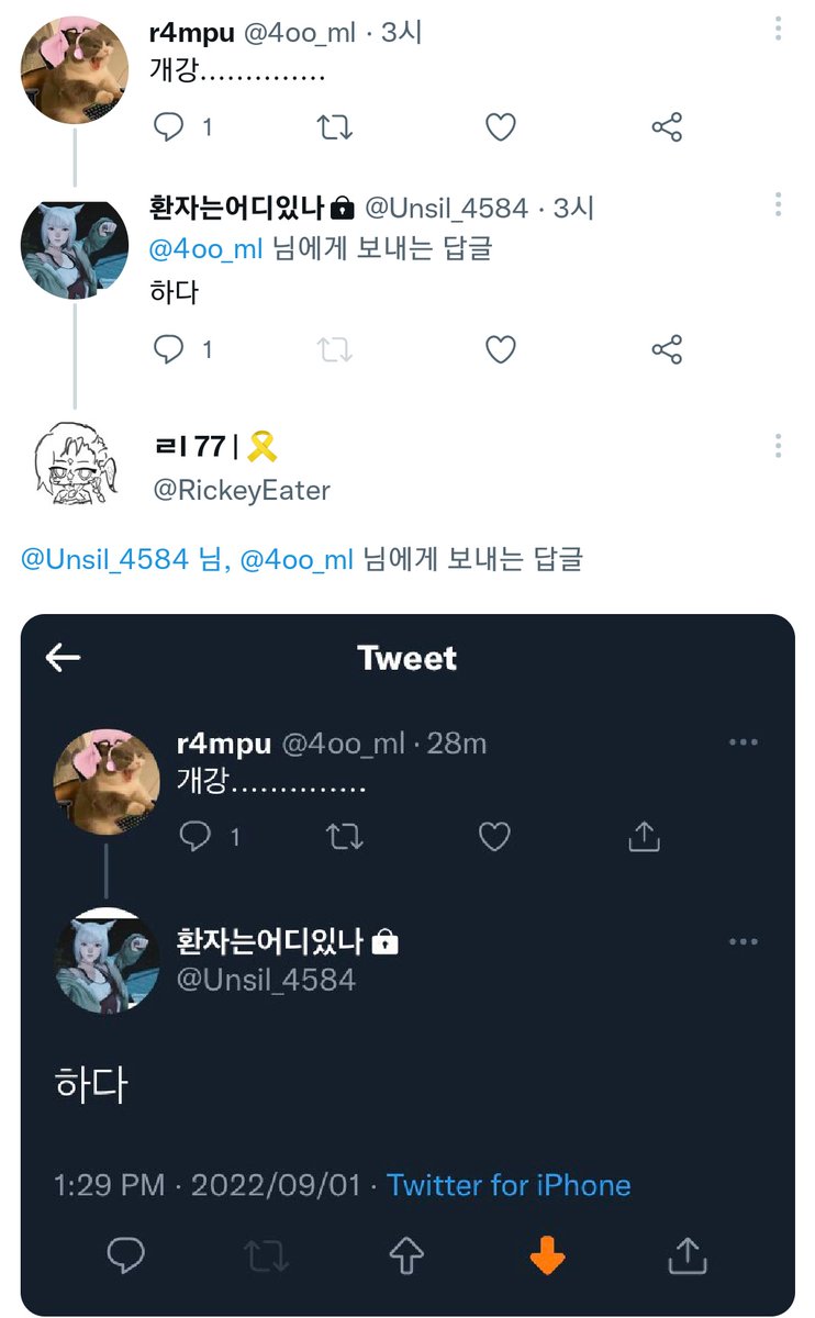 《해적》 tweet media