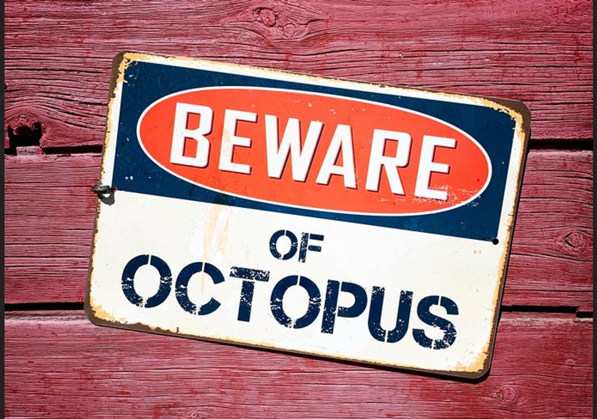 Canadian Relocation tweet media