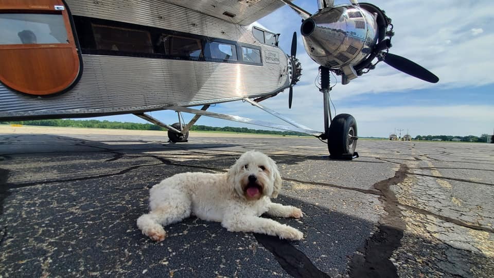 WingsofMercyWM's tweet photo. ✈️ Airport Profile✈️ 

😁 ✨ 𝗕𝗲 𝘀𝘂𝗿𝗲 𝘁𝗼 𝘃𝗶𝘀𝗶𝘁 Southwest Michigan Regional Airport (KBEH) in Benton Harbor!

🍨 🍦𝗧𝗵𝗲𝘆 𝗮𝗿𝗲 𝗴𝗼𝗶𝗻𝗴 𝘁𝗼 𝗯𝗲 𝗳𝗲𝗮𝘁𝘂𝗿𝗶𝗻𝗴 Ice cream Sandwiches, Bars or Other frozen treats will be complimentary to participants. https://t.co/fw49BAWDQx