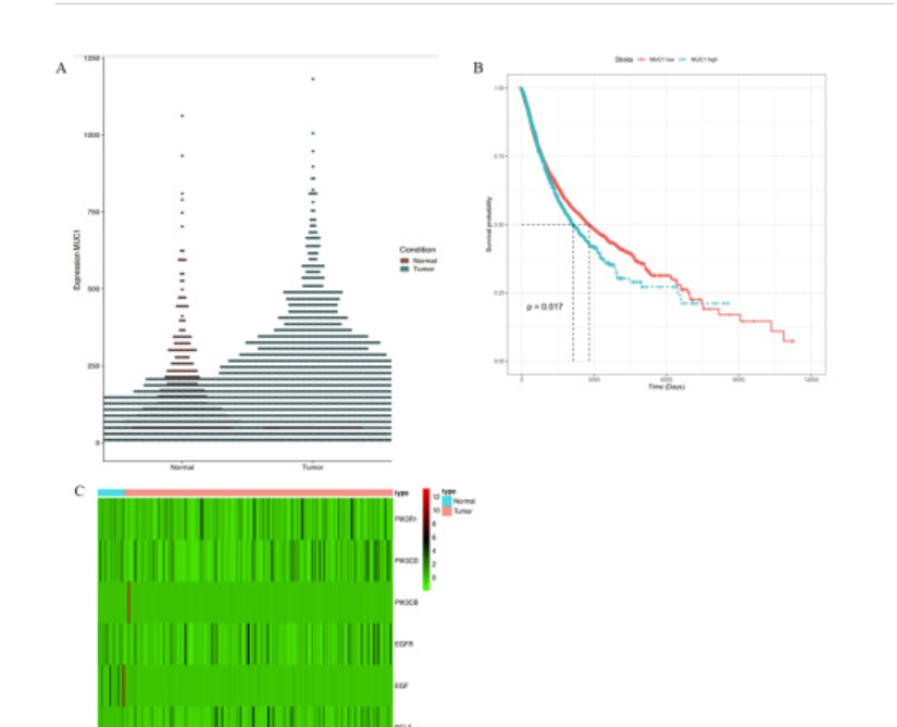 lab_pinku's tweet photo. The Mukherjee Lab is excited to share their new publication in Translational Research (IF >10). Congratulations to all the authors! @BoseMukulika https://t.co/GZvpMavugp
