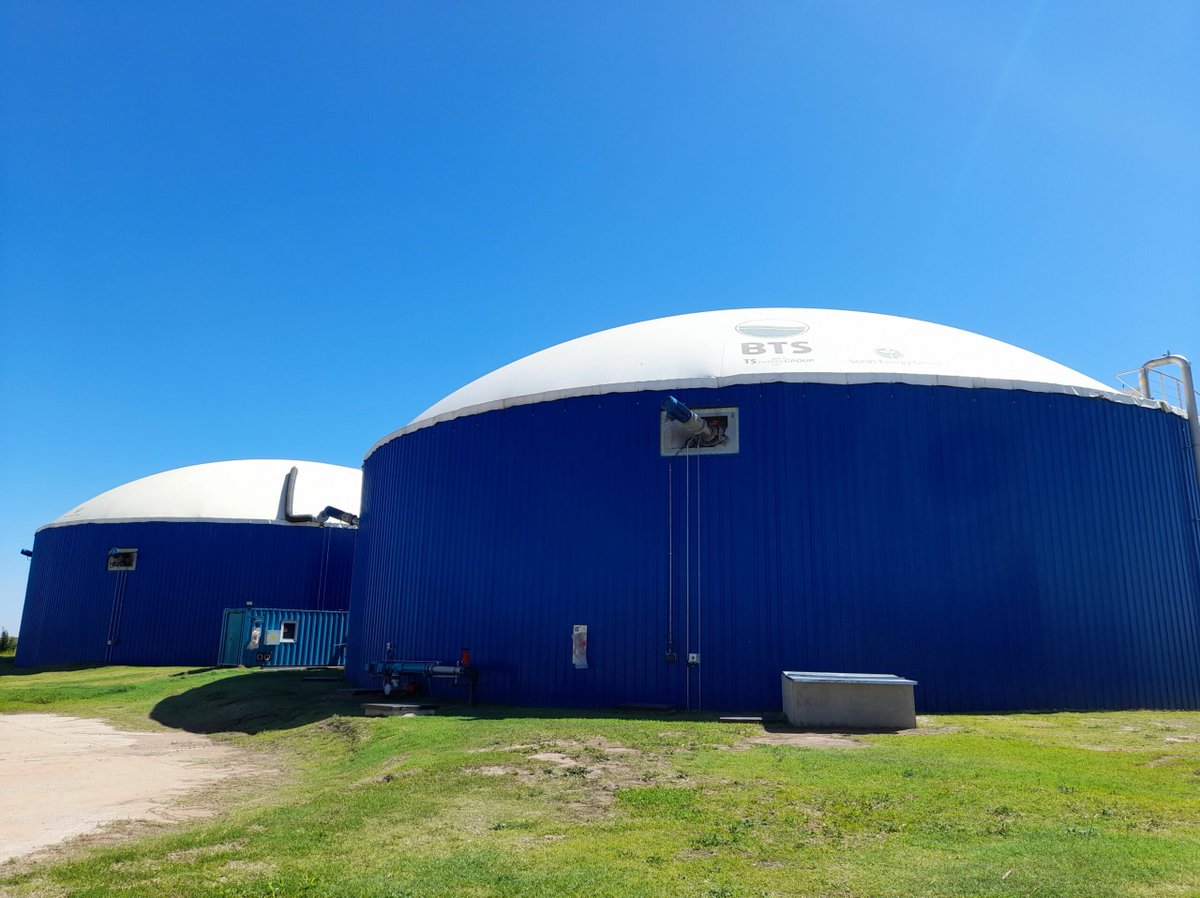 INTA Informa tweet media