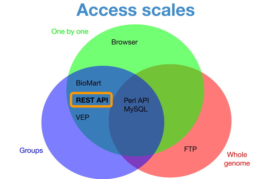 ensembl's tweet photo. 1/9 Its #Thursdaytweetorial time! The Ensembl database contains reference biological data on many different organism https://t.co/tF8zvqVhD3. One of the ways to to access this data programmatically is through the @ensembl REST API https://t.co/a4TLTd8IH5 https://t.co/RMjFuvkpxL