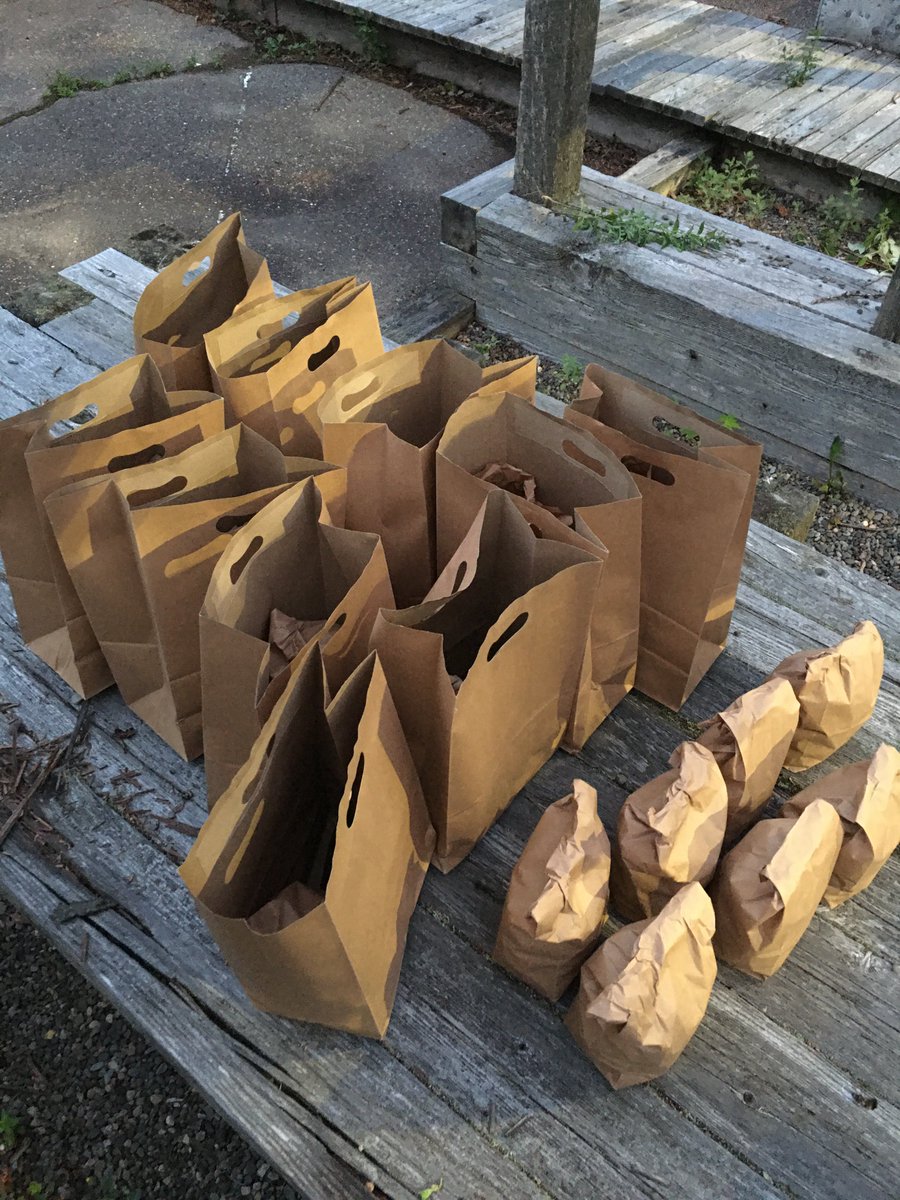 TakeActionGroup's tweet image. With the Support from @welldartmouth, The Dirt to Doorstep Project is in Motion, Granting Many Families with Fresh Veggies Right at their Doorstep! 😊