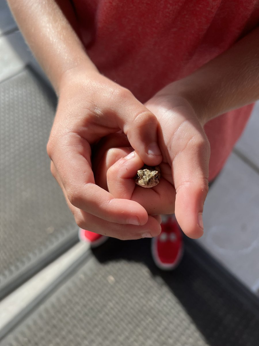 Annie Pakes tweet media