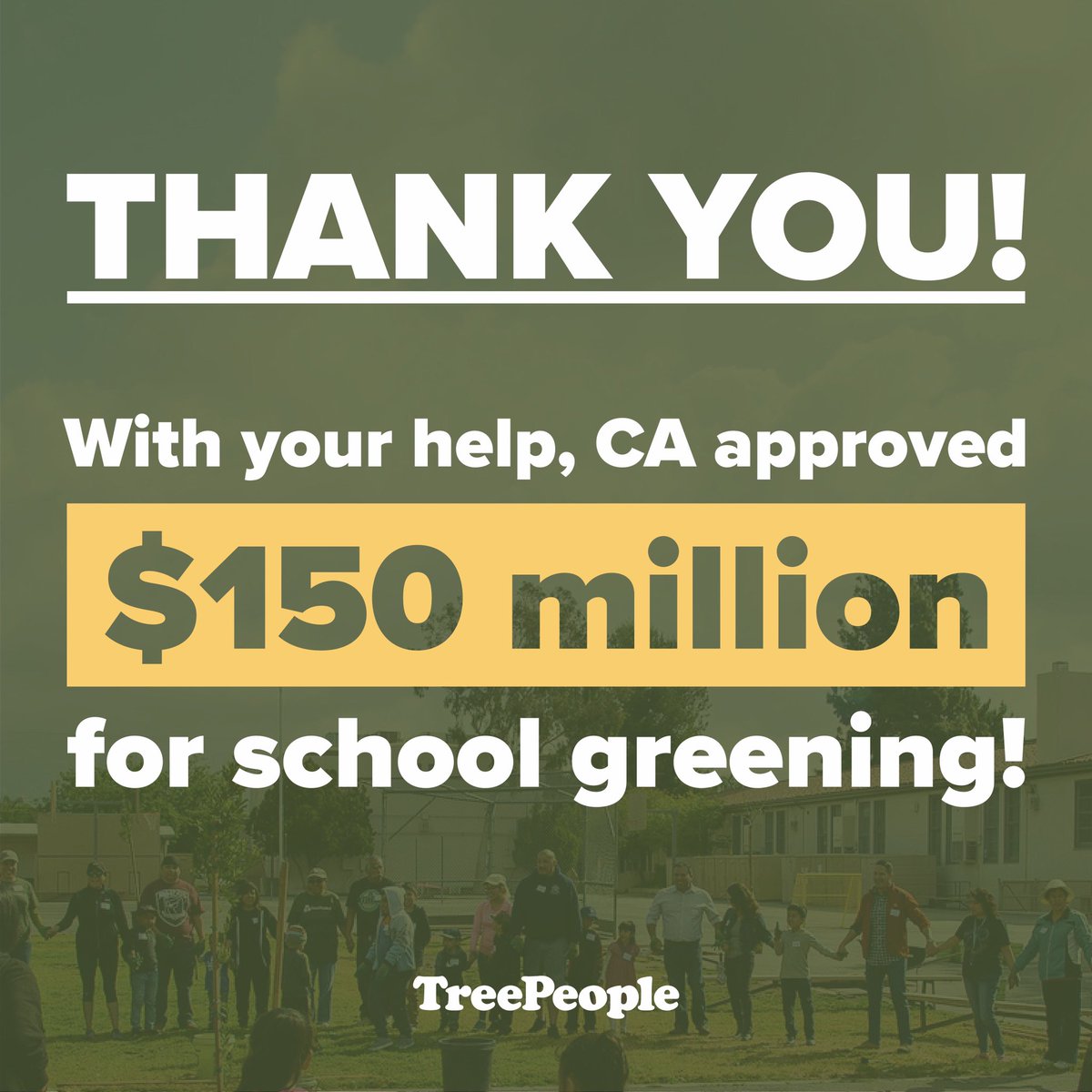 TreePeople tweet media