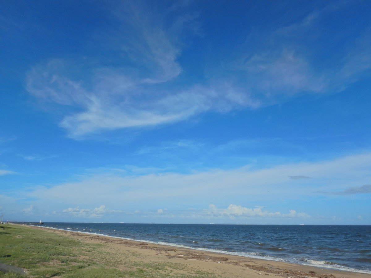 1965_numa's tweet photo. 8月31日のほぼ1ヶ月ぶりの海干潮で風が3～4mで波が来る度 浜に当たり白い霧状になる 全天候型📷を持ってきて正解 以外と使うね防塵水だし… 1日が雨予報なのか*⋆✈雲があちこちに…缶珈琲で喉を潤し(？)汗だくで日陰に入り汗を拭う 暑さに好奇心が勝っての散歩(？)無くしたらおしまいだ… https://t.co/bwUFXtOxnO