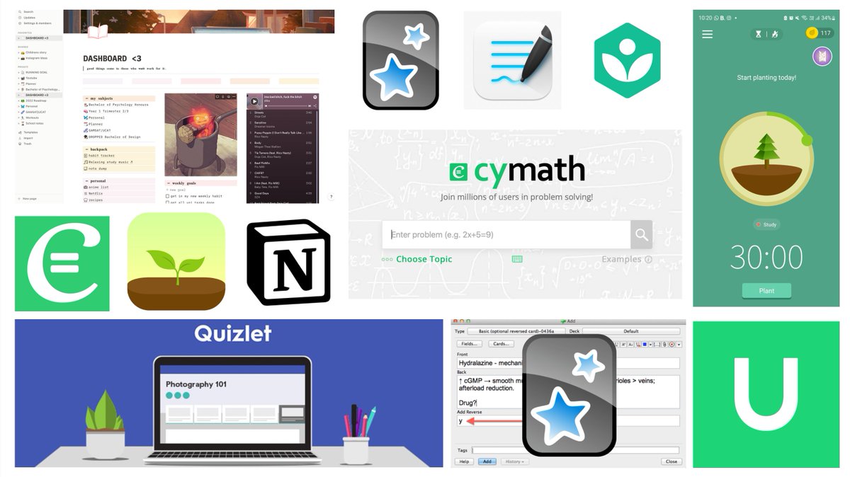 dazedstories 🐞 tweet media