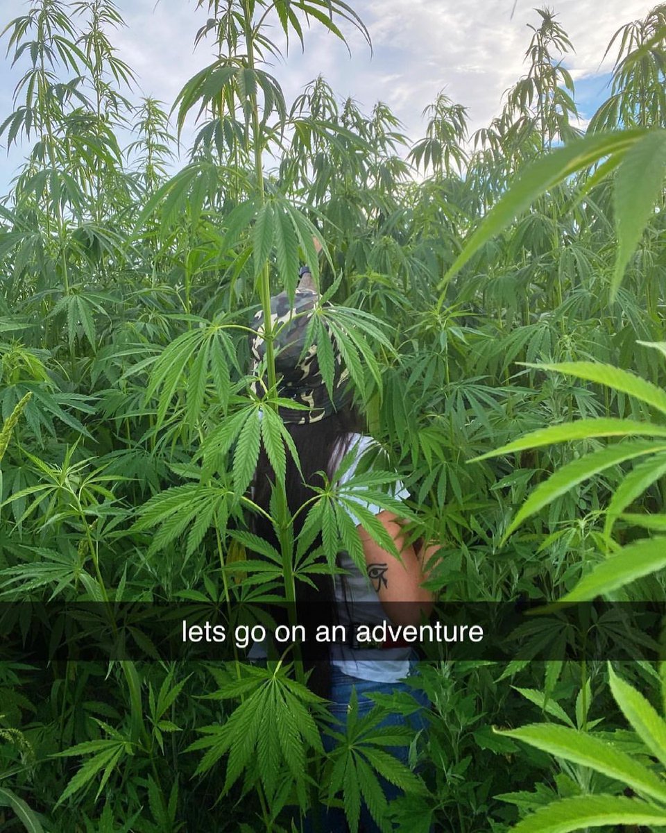 Into the forest!

#cannabis #stonerfam #legalizeIt #weedmob