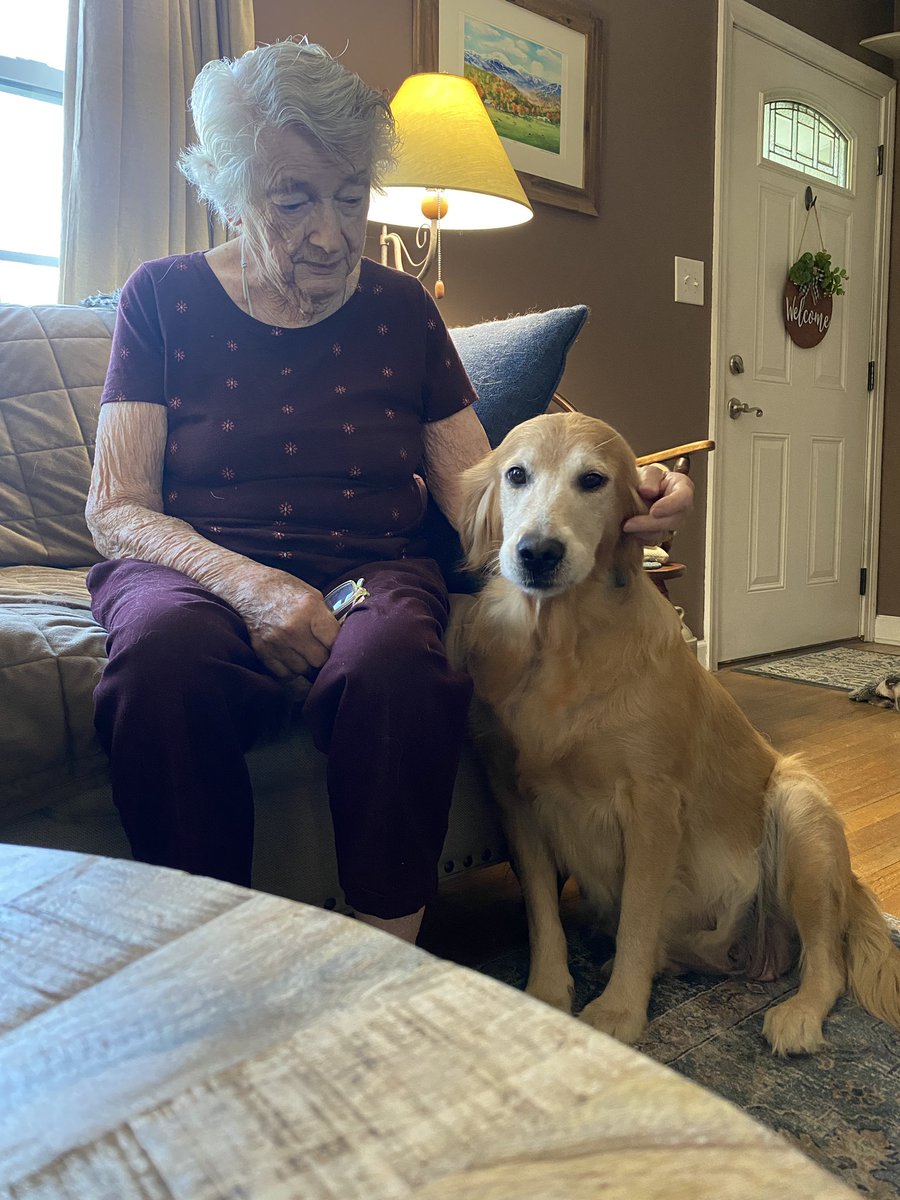 Transition No. 93
“I met great-grandma!  She’s GREAT!”
—Sophie
#mutualadmirationsociety #dogs #dogsoftwitter #grc #dogcelebration #goldenretriever #unconditionallove