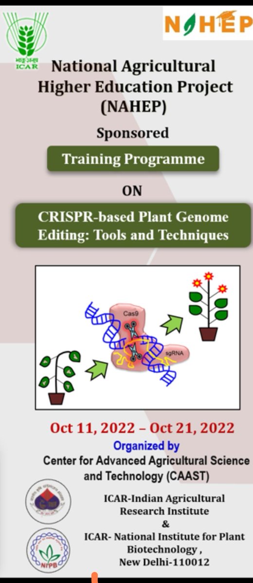 iaripusa1's tweet photo. ICAR-IARI, New Delhi and ICAR-NIPB, New Delhi are organizing a NAHEP-CAAST sponsored training on "CRISPR-based Plant Genome Editing: Tools and Technique" from 11th-21st Oct 2022. Interested candidates can visit the IARI website for more details https://t.co/3ZP4whUrDn https://t.co/Iu48dk4isi