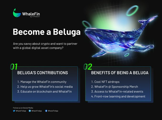 pt_whalefin's tweet photo. És apaixonado por #crypto e queres fazer parte da comunidade global? 👋

Torna-te um #Beluga, gere a comunidade WhaleFin e participa em airdrops exclusivos de #NFT.

Apresente-te e diz-nos porque queres participar 📬  beluga@whalefin.com

A equipa WhaleFin! https://t.co/1UnGTc0iLl