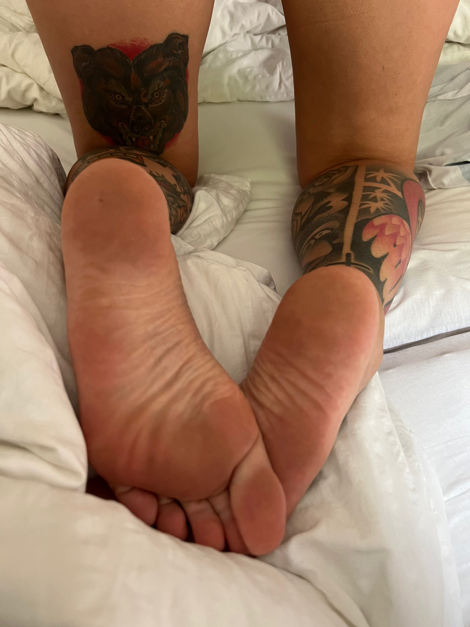 TW Pornstars - Lisa RocketCock 🇹🇭TOP 1.4% KinkyGalore Doorbitch. Twitter.  Füße 😜 rocketcock pornomodel. 1:21 PM - 1 Sep 2022