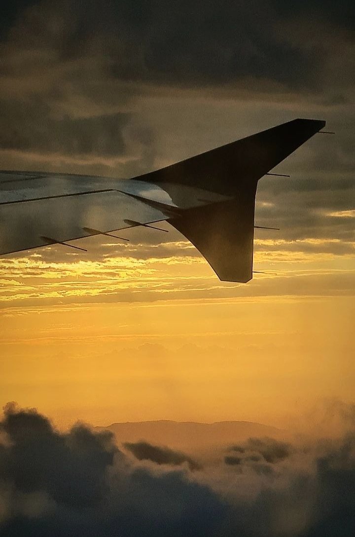TheSonicScrew's tweet photo. Off we pop #HelloFlorida https://t.co/HICOdQfscp