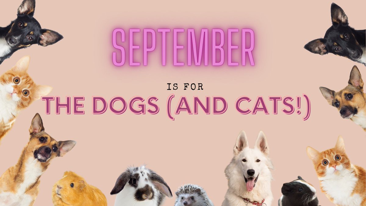 CAIadvocacy's tweet image. September is all about Pets! From #HappyCatMonth to #ResponsibleDogOwnershipMonth and #NationalPetInsuranceMonth, there's a lot to celebrate! Read up on pets and animals in community associations here: caionline.org/Advocacy/Prior…