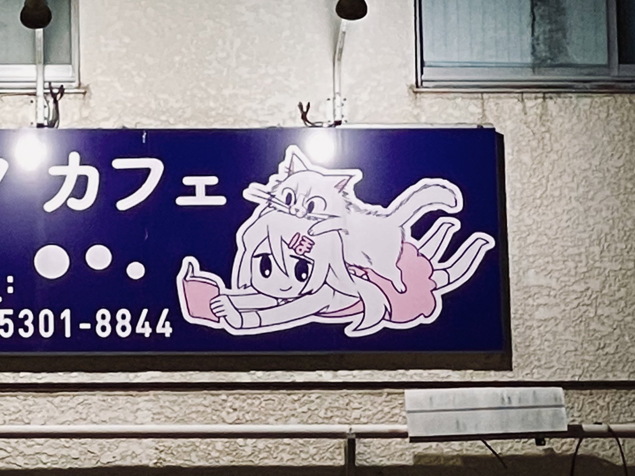 Wsiuiuxxy0lzfm