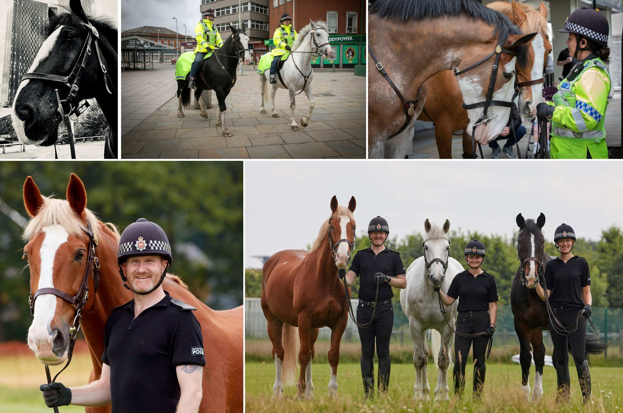 GMP Tactical Mounted Unit on Twitter "We spoke to Constable Aaron