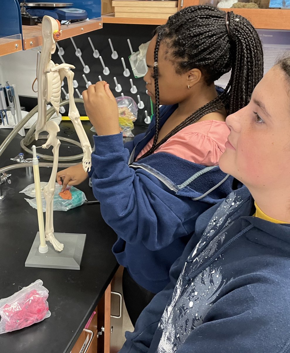 Danielle Doherty-Koch  tweet media