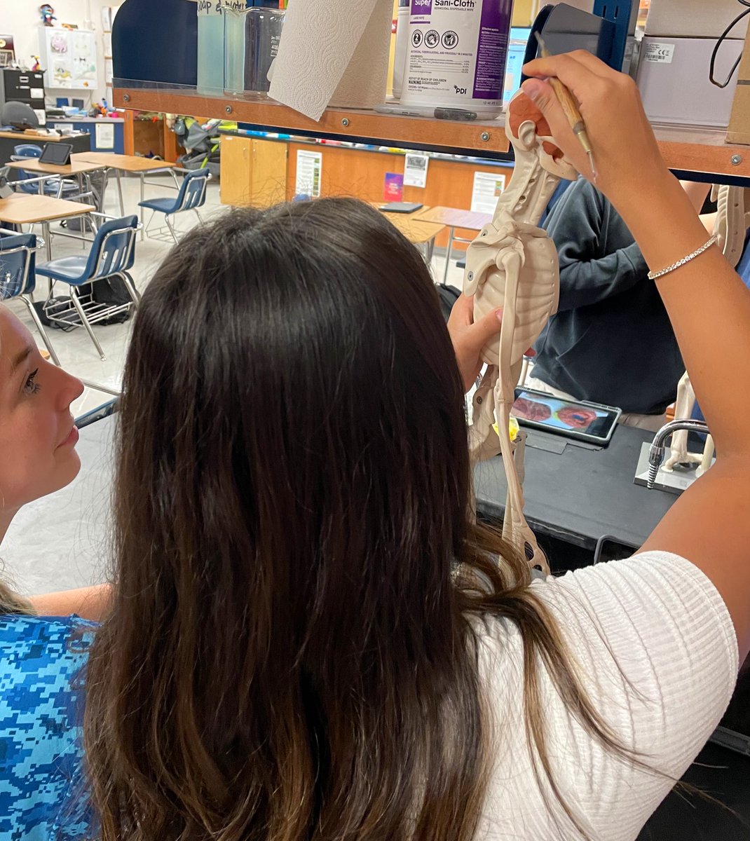 Danielle Doherty-Koch (@danielled2koch) on Twitter photo 💀The sophomore #PLTW Biomedical science class built some facial muscles today giving their <a href="/AnatomyinClay/">Anatomy In Clay</a> models their identity while learning the bones of the skull and the muscles that control our eyes and mouth. Such an amazing tool to use while learning these features! 💀The sophomore #PLTW Biomedical science class built some facial muscles today giving their <a href="/AnatomyinClay/">Anatomy In Clay</a> models their identity while learning the bones of the skull and the muscles that control our eyes and mouth. Such an amazing tool to use while learning these features!