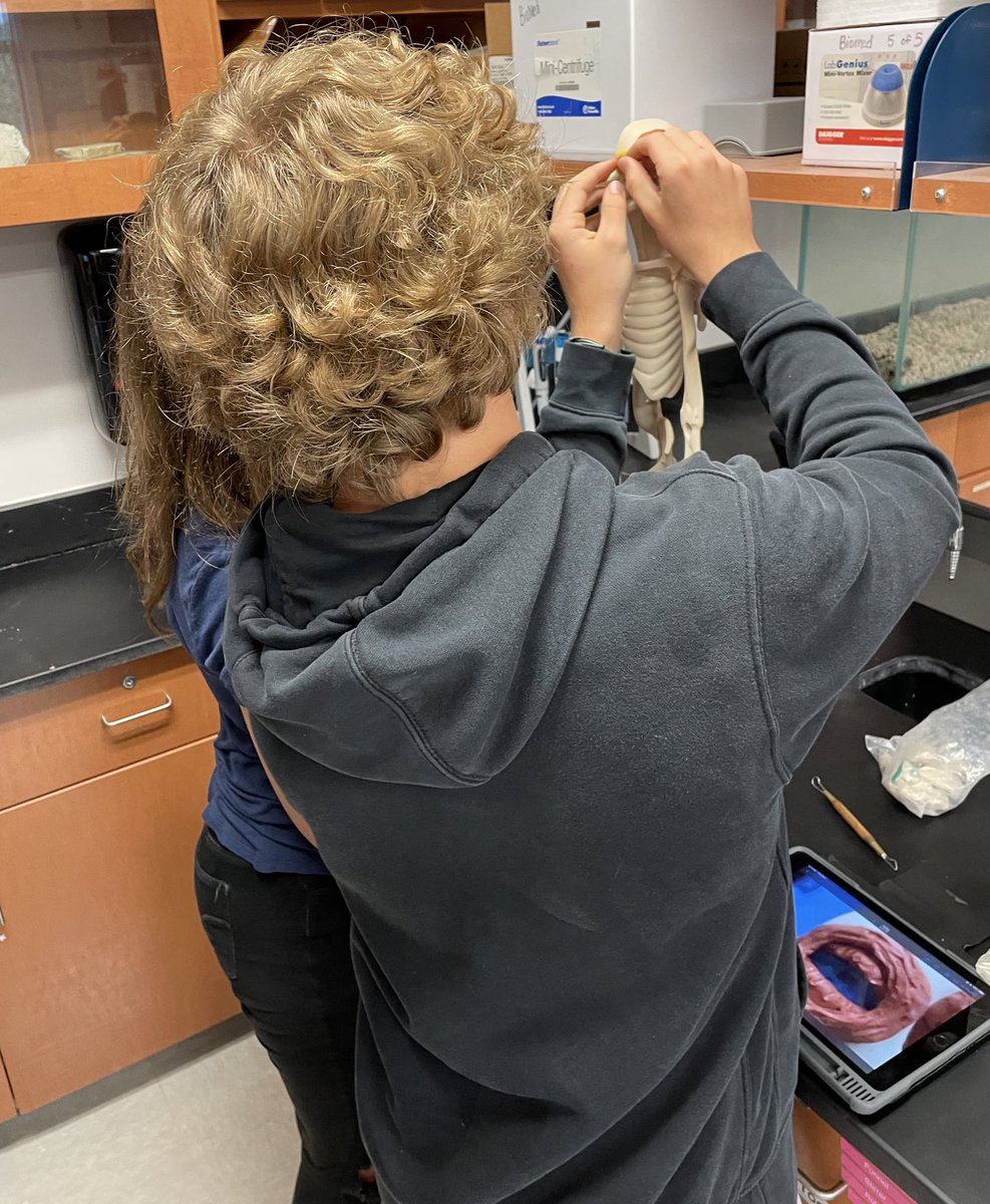 Danielle Doherty-Koch  tweet media