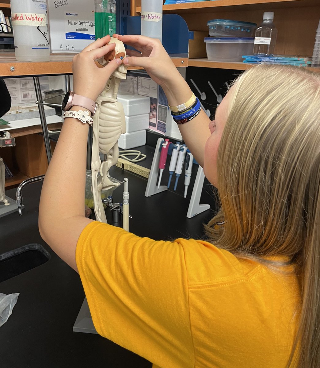 Danielle Doherty-Koch  tweet media